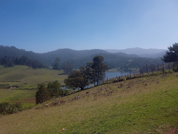 Lake view in Rabbit and Sheep Farm, 1 Day Kodaikanal Tour Packages