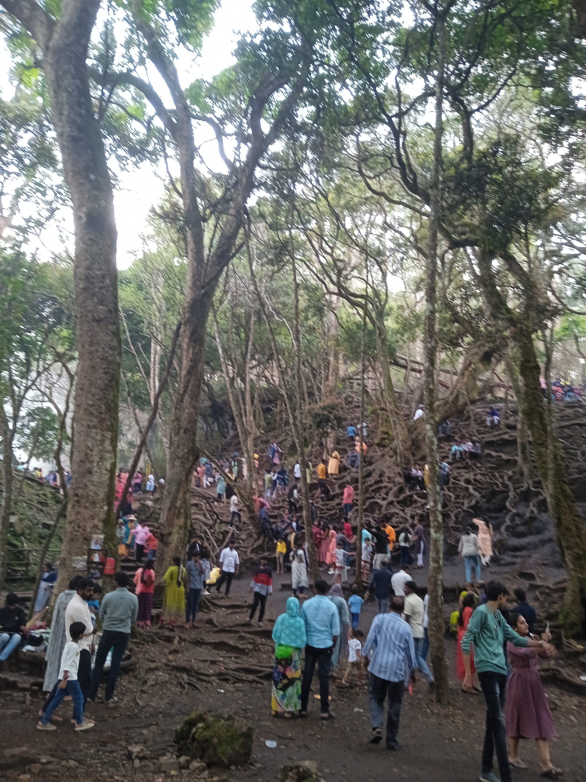 How to reach Guna caves Kodaikanal | Devil's Kitchen Kodaikanal ...