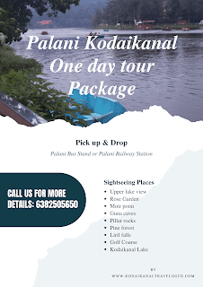 Palani to Kodaikanal Tour packages