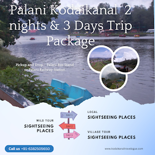 palani tour packages in kerala